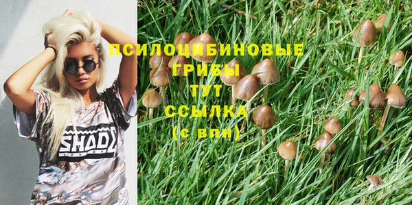 spice Балабаново