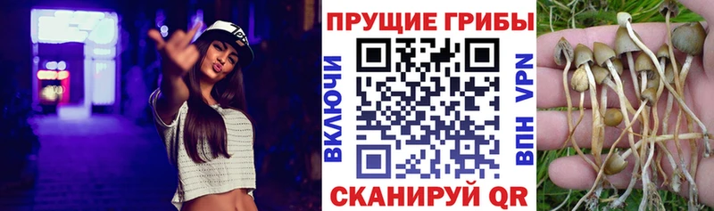 Галлюциногенные грибы GOLDEN TEACHER  где продают наркотики  МЕГА ссылки  Щёкино 